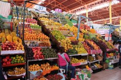 SAN-CAMILO-MARKET-2