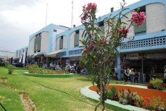SAN-CAMILO-MARKET-3