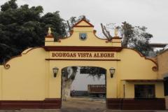 BODEGA-VISTA-ALEGRE