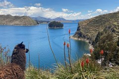 LAKE-TITICACA-2